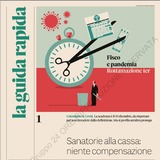 LA GUIDA RAPIDA DEL SOLE 24ORE DEL 23/11/2020