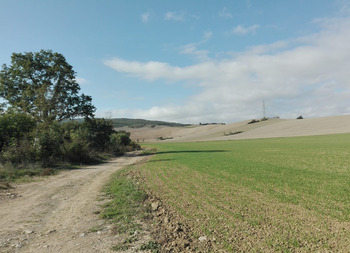 LA CASSAZIONE SI ESPRIME CONFERMANDO L’OBBLIGO DI PAGAMENTO ANCHE DI SANZIONI E INTERESSI NEL CASO DI MANCATA NOTIFICA DEL CAMBIO DI DESTINAZIONE DI AREE FABBRICABILI