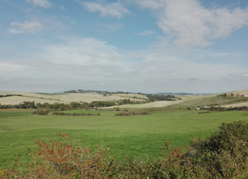 LA CORTE DI CASSAZIONE CONFERMA CHE È DOVUTA L’IMU SULLE AREE FABBRICABILI ANCHE IN PRESENZA DI UN  VINCOLO IN QUANTO QUESTO INCIDE SUL VALORE MA NON SULLA TASSABILITÀ 