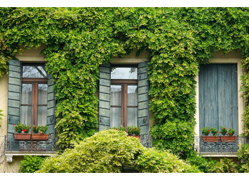 CRESCE IL NUMERO DELLE UNITÀ IMMOBILIARI AD USO ABITATIVO CENSITE IN CATASTO CON OLTRE 35,7 MILIONI DI ABITAZIONI MA LE ABITAZIONI DI LUSSO A/1 A/8 E A/9 RISULTANO MENO DEL 2 PER MILLE