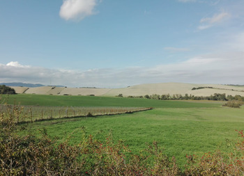 LA CASSAZIONE CONFERMA CHE L’EDIFICABILITÀ DI UN’AREA AI FINI IMU È RICAVATA DALLA QUALIFICAZIONE CHE LE È STATA ATTRIBUITA NEL PIANO REGOLATORE GENERALE ADOTTATO DAL COMUNE